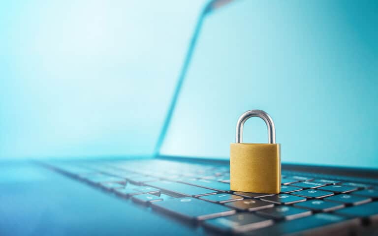 Securing your passwords online